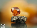 (#691) Bandon Sand Grains 1of1