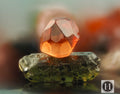 (#700) Sand Garnet Balanced on Tourmaline Grain
