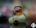 (#229) Bandon Sand Grains 1of1