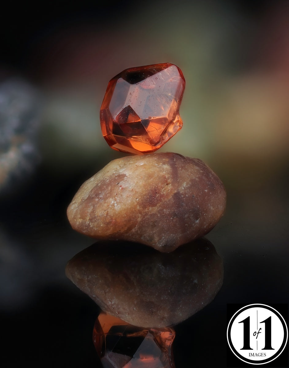 (#372) Bandon Sand Grains 1of1