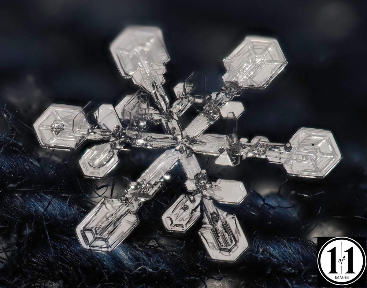 (#29) Snowflake 8"x10" Print in 11"x14" double mat