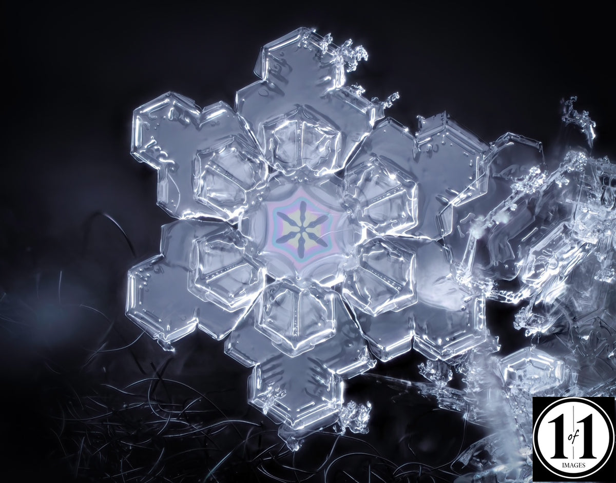 (#21) Snowflake 8"x10" Print in 11"x14" double mat