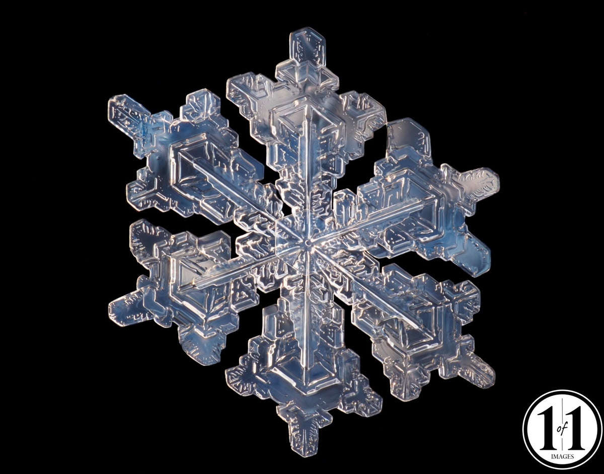 (#23) Snowflake 8"x10" Print in 11"x14" double mat