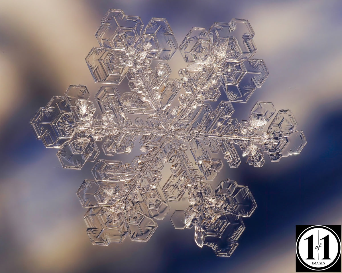 (#18) Snowflake 8"x10" Print in 11"x14" double mat