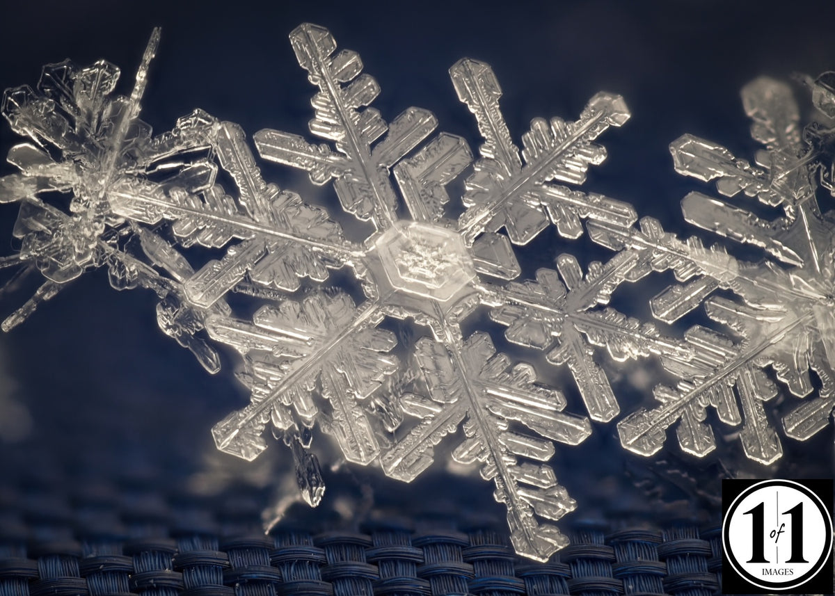 (#20) Snowflake 8"x10" 8"x12" print in 12"x16" single mat