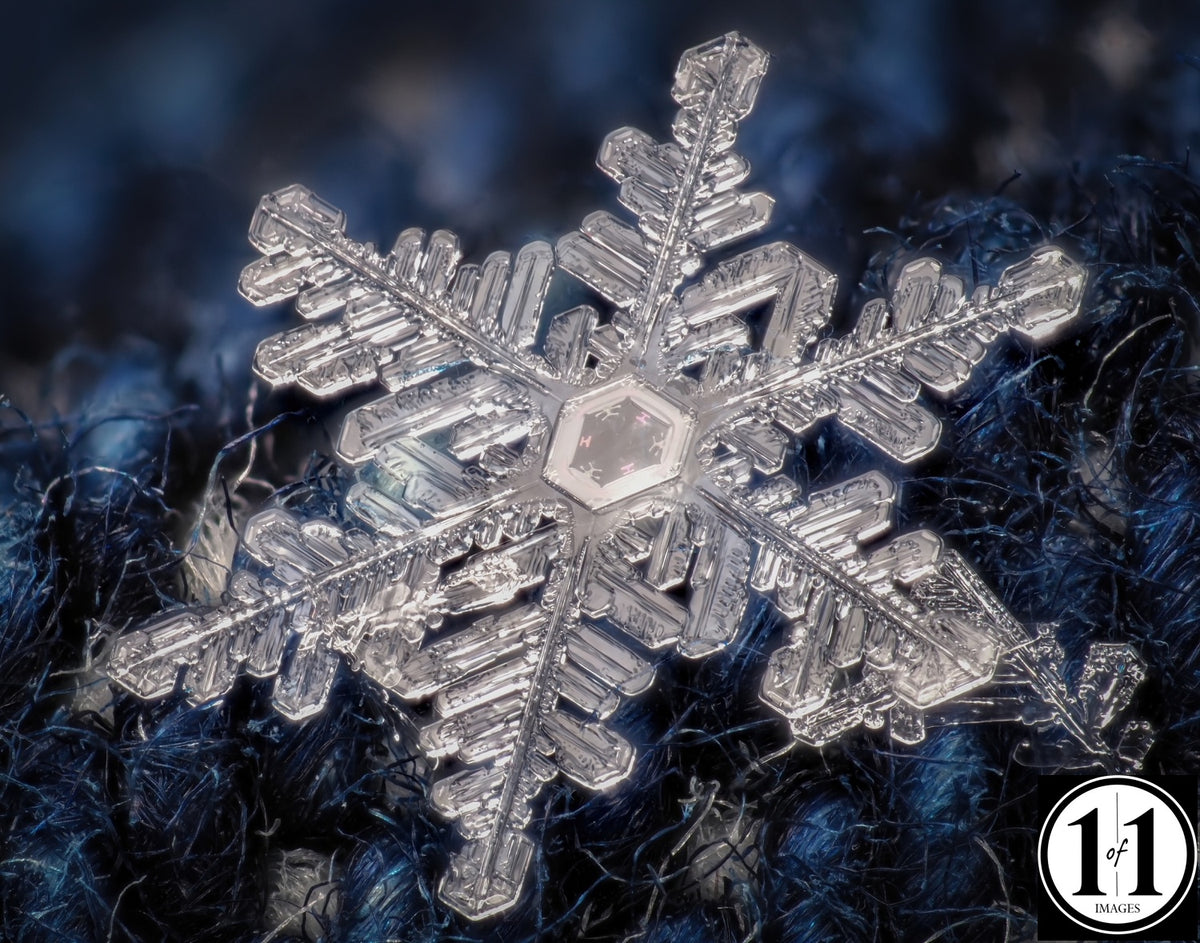 (#14) Snowflake 8"x10" Print in 11"x14" double mat