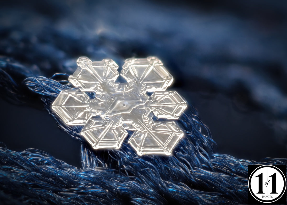 (#19) Snowflake 8"x12" print in 12"x16" single mat